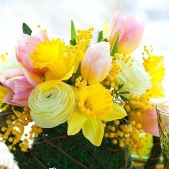 Meet your Posher, Ali - Picture 1 of 1